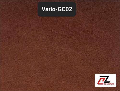 Da Vario